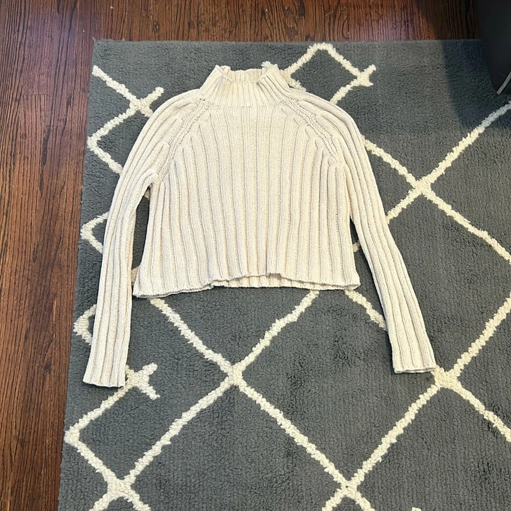 American Eagle Knit Turtleneck Sweater